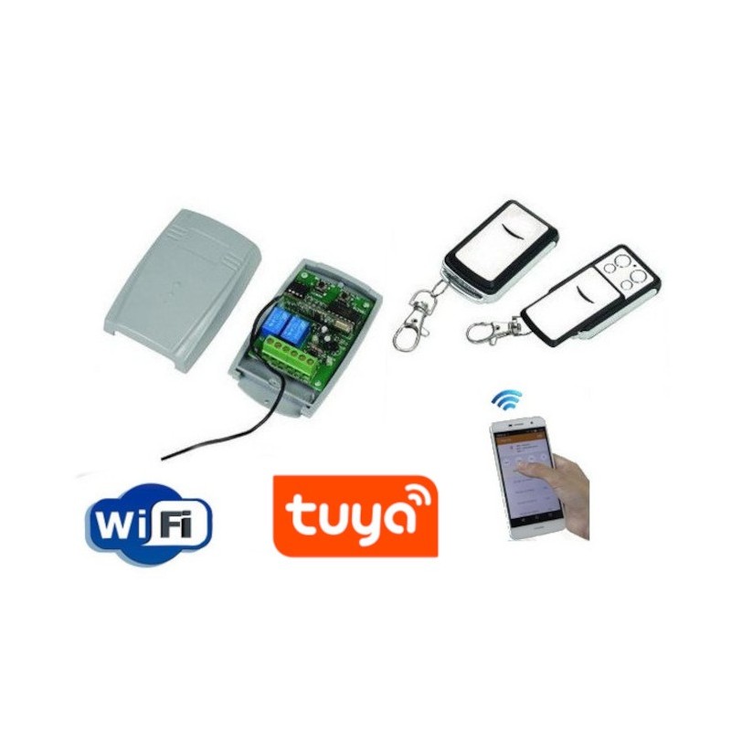 Kit télécommande de portail wifi et radio