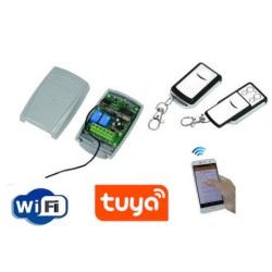 Kit télécommande de portail wifi et radio