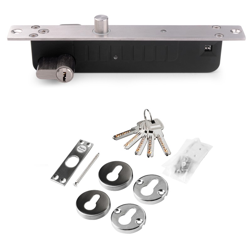 Serrure électrique de porte ou portillon