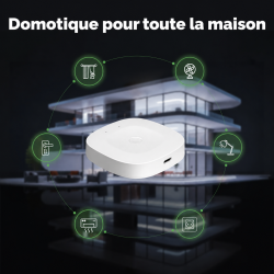 Passerelle domotique multi-mode Moes et Tuya Bluetooth Mesh et Zigbee 3.0